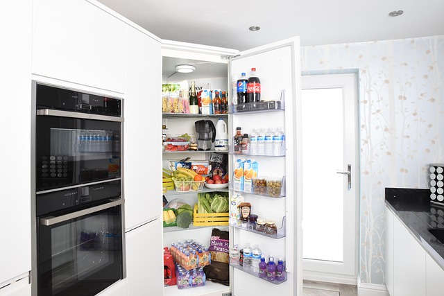 Avec l’ozone, votre réfrigérateur peut devenir un allié encore plus performant pour préserver la fraîcheur et la qualité de vos aliments.